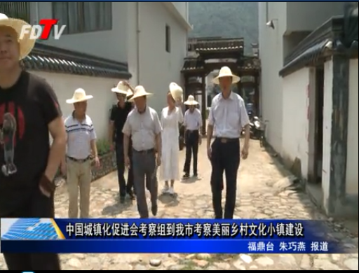 中國城鎮化促進會考察組到我市考察美麗鄉村文化小鎮建設