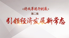 《將改革進行到底》 第二集 《引領(lǐng)經(jīng)濟發(fā)展新常態(tài)》