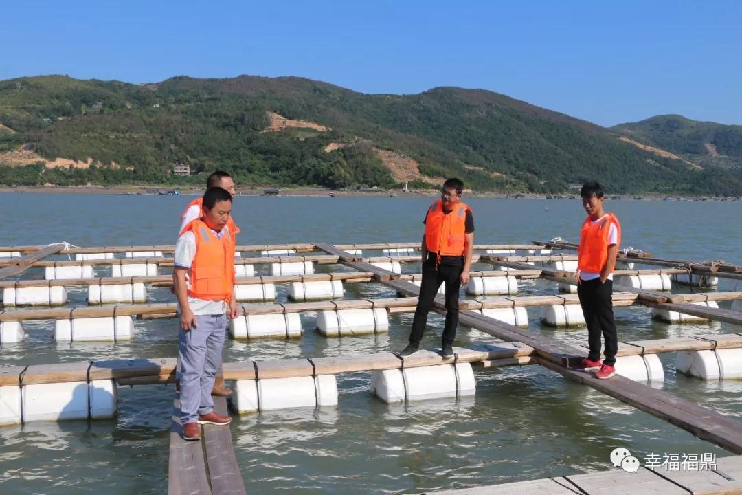 國慶假期不休停！福鼎上下堅決打贏海上養殖綜合整治硬仗