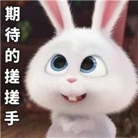 劇透，明天老健會開幕式的第一個表演節(jié)目來自福鼎！期待嗎？