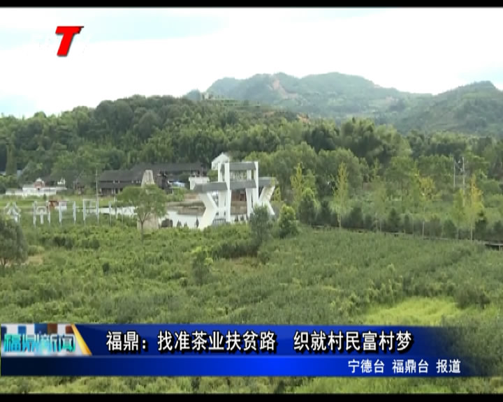 福鼎：找準茶業扶貧路  織就村民富村夢
