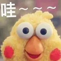 福利到！明天，不要錯過這場惠民演出