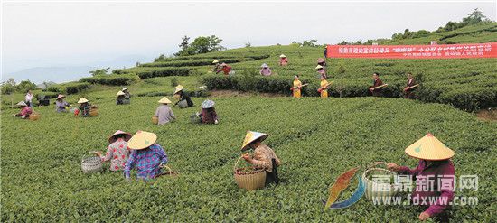 讓文明新風吹進心田里 我市大力推進移風易俗工作之二