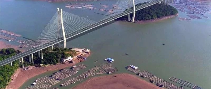 沙埕灣跨海大橋建設穩步推進，最新建設情況看這里~（附效果圖）