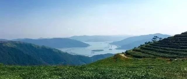 生態(tài)佳陽(yáng)，靜好歲月，這個(gè)村約嗎？