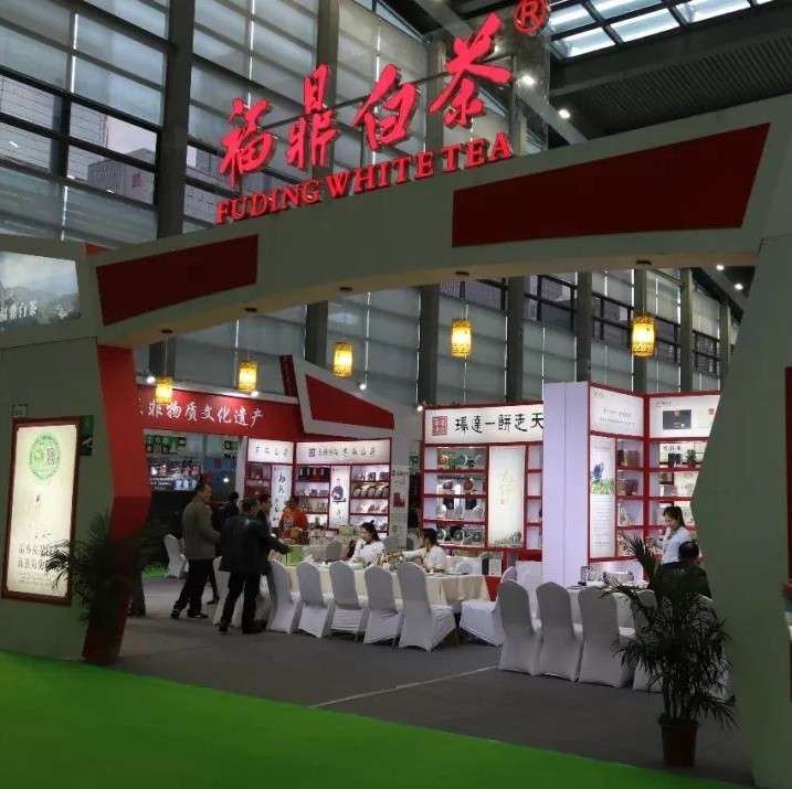 福鼎白茶震撼“回歸”深圳，老白茶盡顯年輕新姿態！