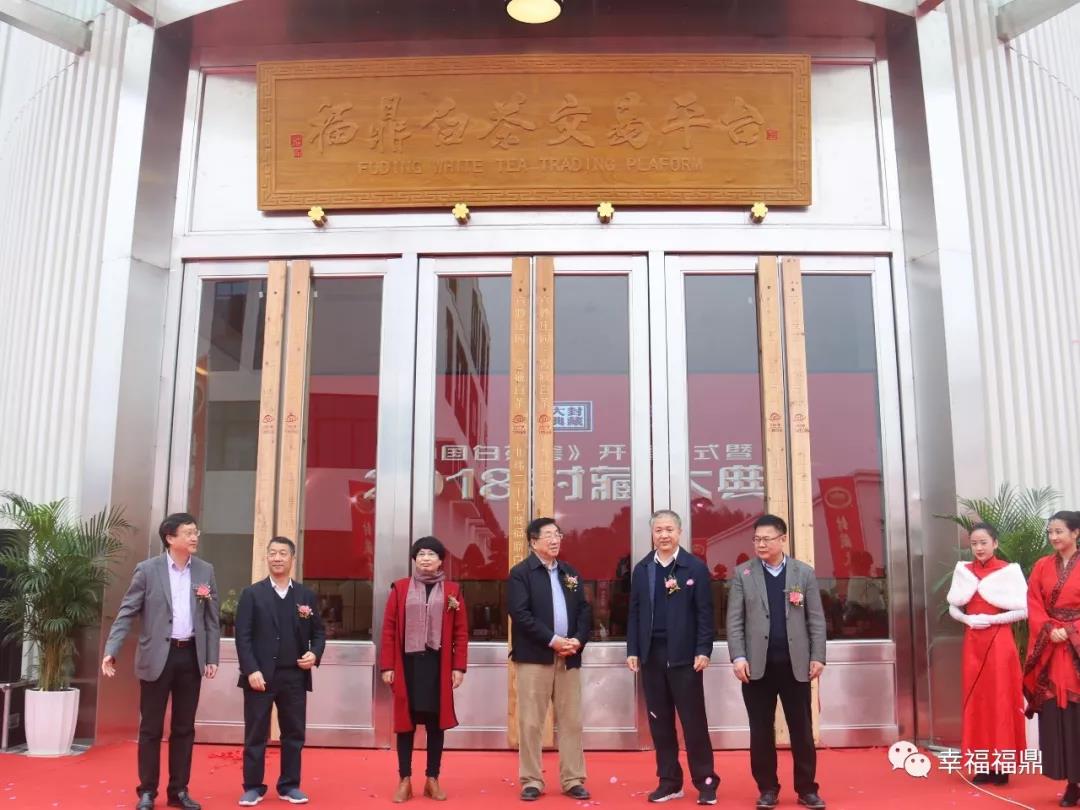 今天，福鼎白茶來了一場現(xiàn)場“大封印”
