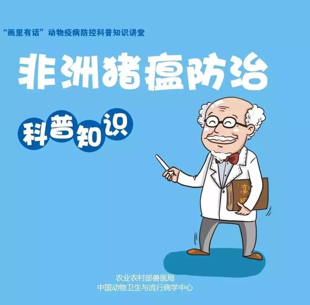 科普知識：非洲豬瘟，傳豬不傳人！