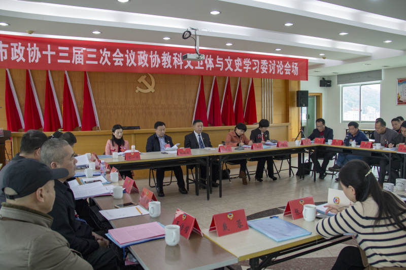 李紹美參加市政協十三屆三次會議分組討論會