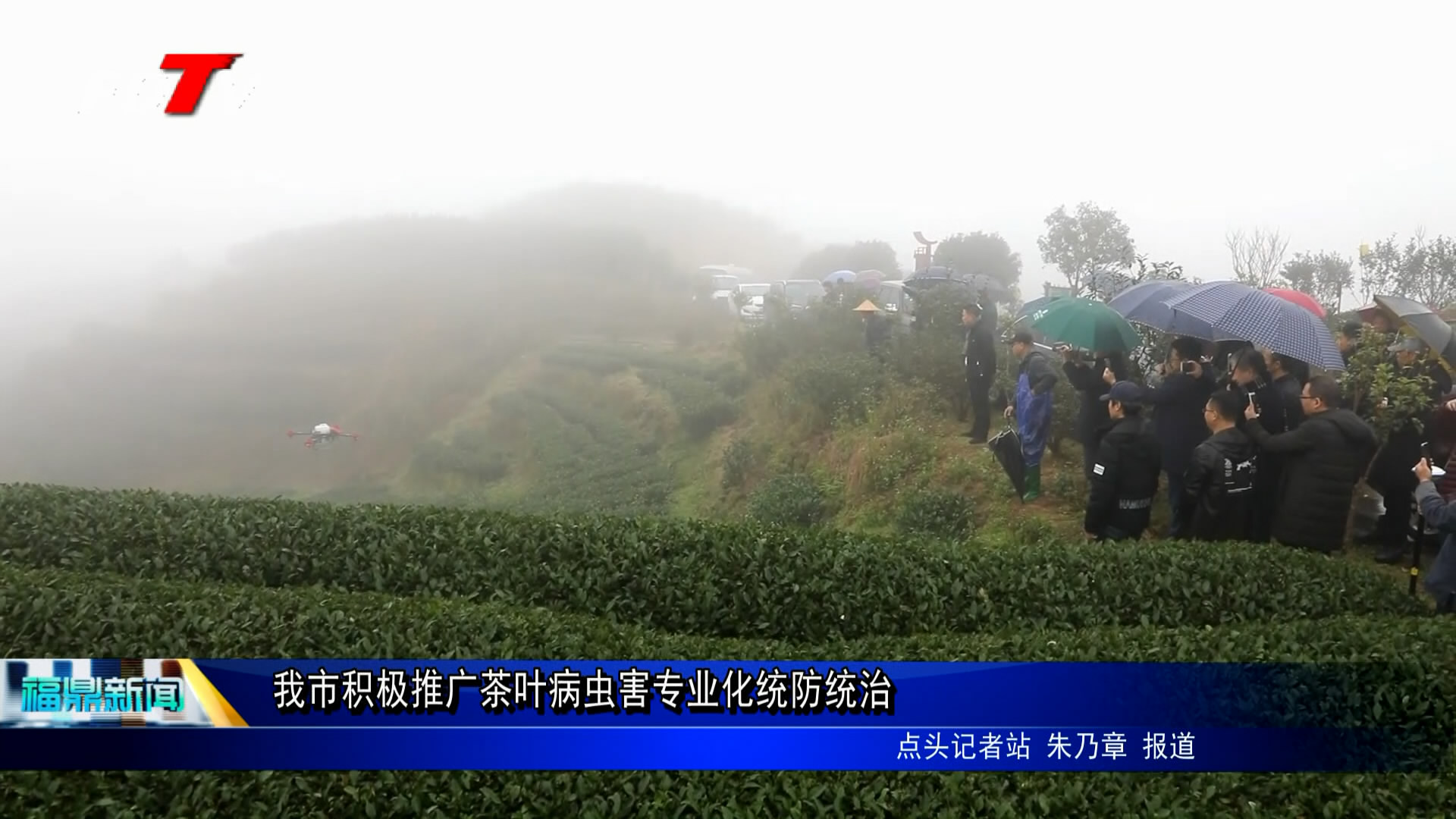 我市推廣茶葉病蟲害專業化統防統治