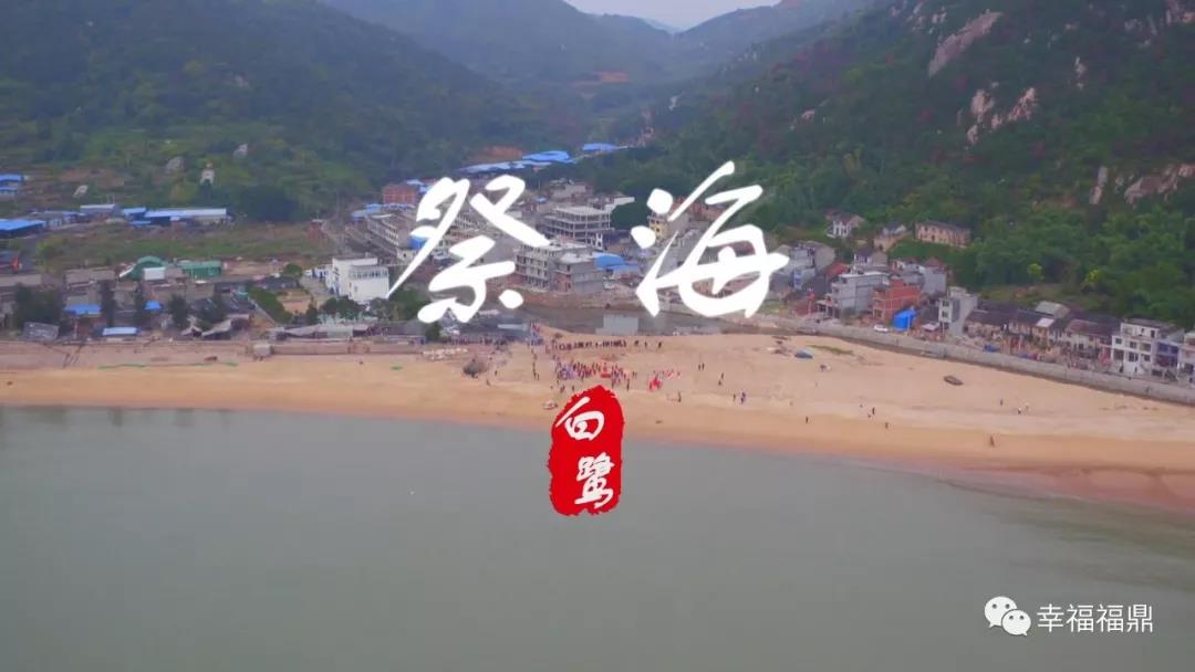 【視野】一個叫白鷺的地方，他們是這樣和海對話的……
