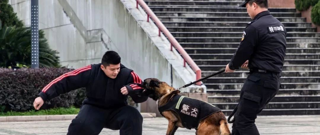 110宣傳日，為警察蜀黍打call的你，可知如何正確打call？