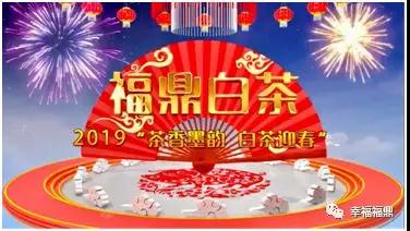 茶香墨韻，白茶迎春，這場(chǎng)活動(dòng)引起極度舒適！