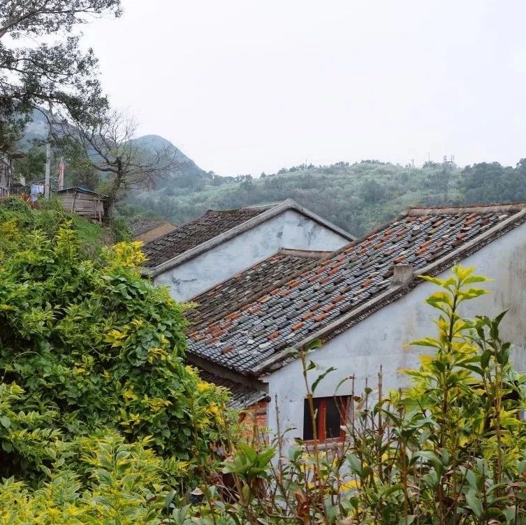 在清華建筑學(xué)子的眼中，崳山島是什么樣的呢？