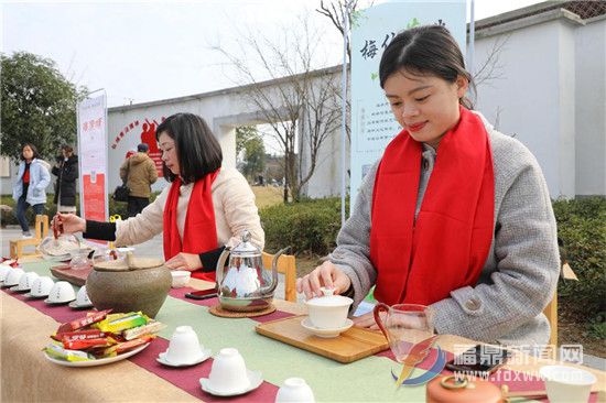 點頭鎮2019“白茶小鎮、魅力點頭” 攝影大賽啟動