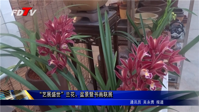 “藝展盛世”蘭花、盆景暨書畫聯展