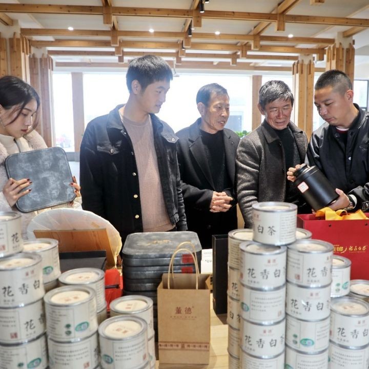 茶企新春早開工，福鼎茶市迎來“開門紅”！