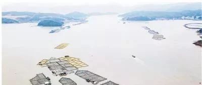 棒！人民日報頭版點贊福鼎環(huán)保漁排生態(tài)養(yǎng)殖