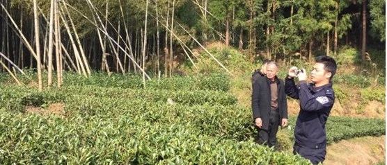 舉報最高獎勵30萬！福鼎公安邀你共同禁種鏟毒！