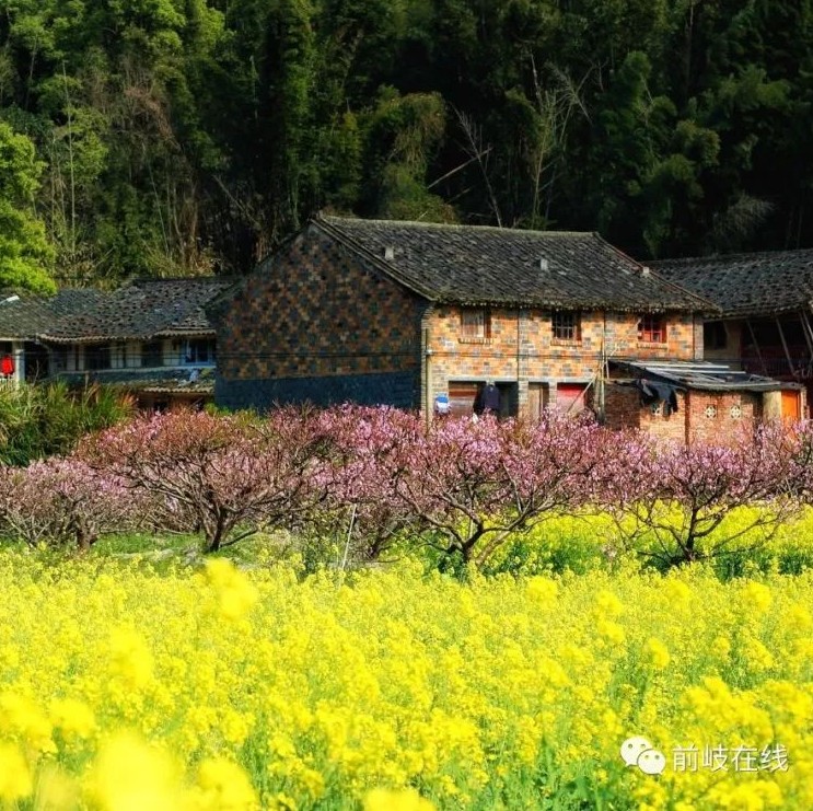 春暖花開，踏青出游？去照瀾吧！有驚喜……