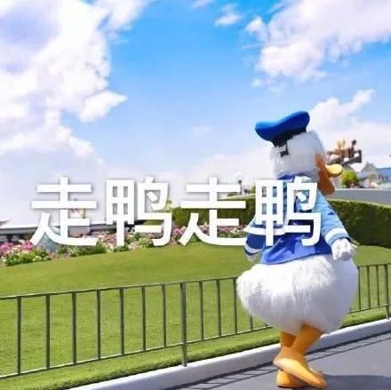 3月23日，福鼎白茶開茶節現場咋停車？看這里！！！