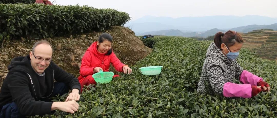 John Smagula首游福鼎，揭秘外國(guó)人如何看福鼎白茶