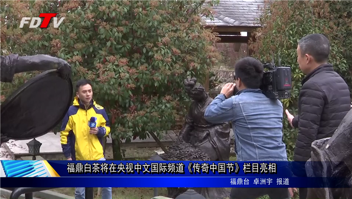 福鼎白茶將在央視中文國際頻道《傳奇中國節(jié)》欄目亮相