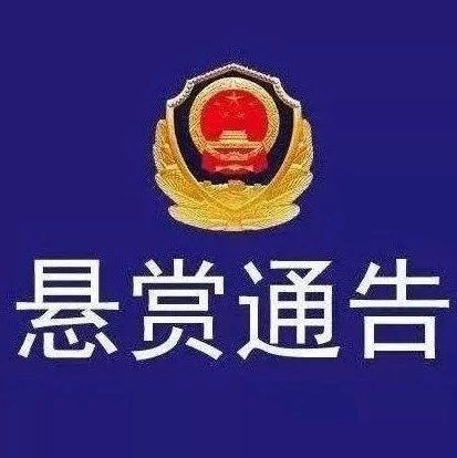 如有這16名涉黑涉惡在逃嫌疑人的線索，請立即報警！