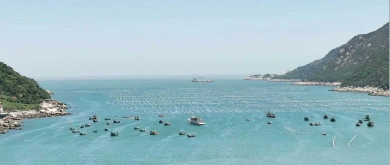 寫好 “旅游+”文章，福鼎激活全域山水！