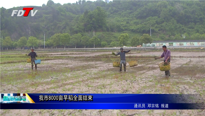 我市8000畝早稻全面結(jié)束