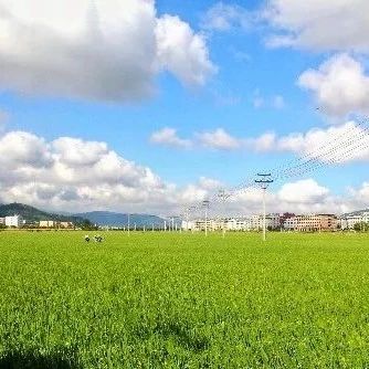 五谷豐登，瓜果飄香，請聽福鼎田園牧歌