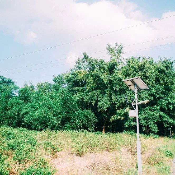 坪上之園，在水之北，推薦你一處離城不遠的小清新風景