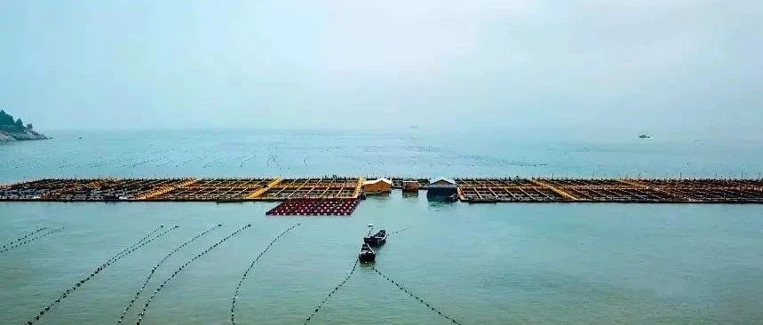 水上田園風光美如畫，背后是一場福鼎海域環境“整形”記