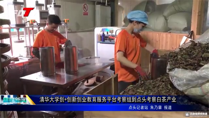 清華大學創+創新創業教育服務平臺考察組到點頭考察白茶產業
