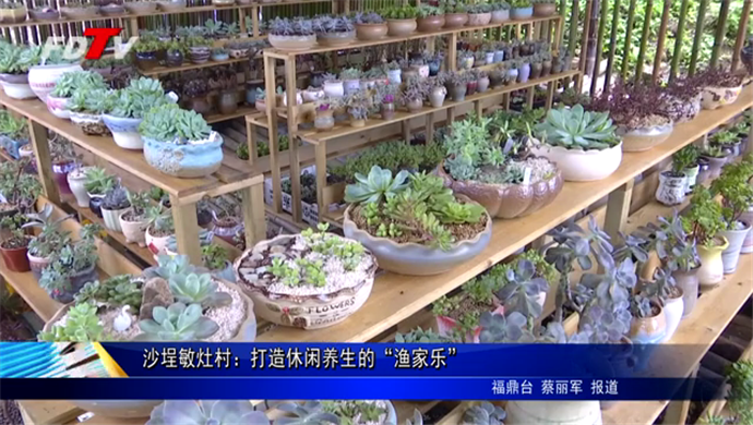 沙埕敏灶村：打造休閑養生的“漁家樂”