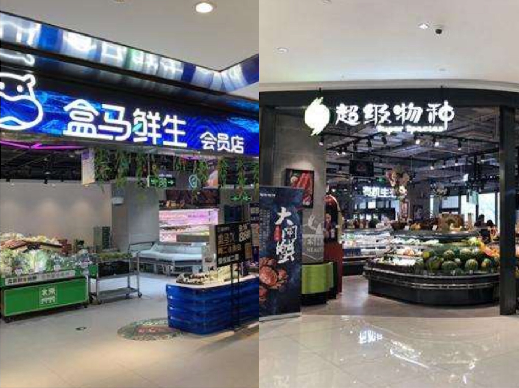 盒馬、七鮮、超級物種探訪：部分商品落灰 都在賺吆喝？