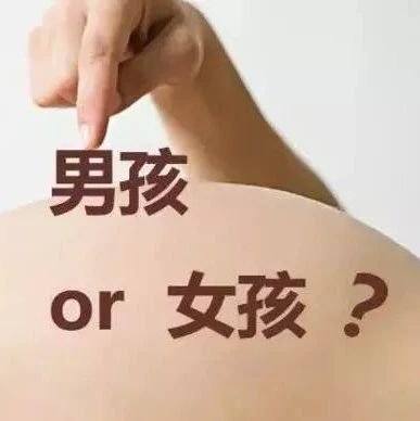 B超鑒定胎兒性別？福鼎準媽媽打了個電話過去，結果……