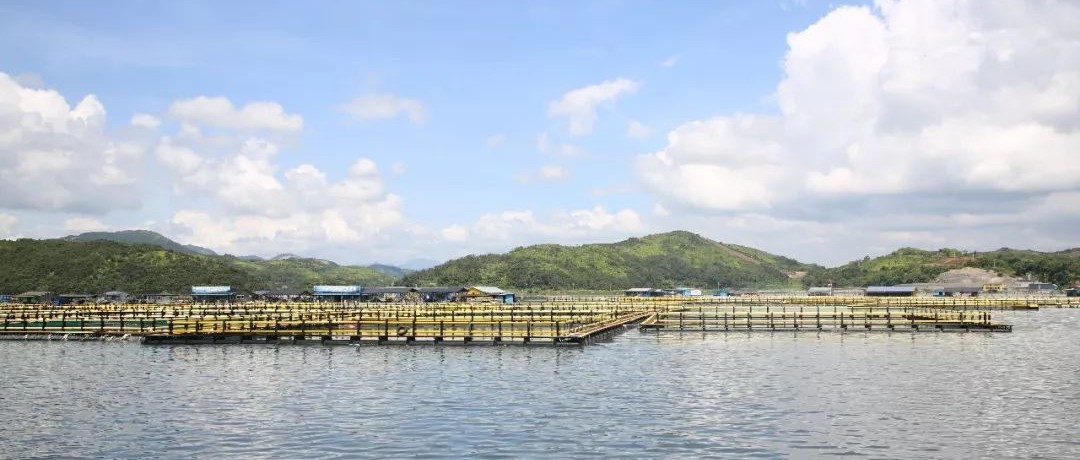 海上養殖變化大不大，跟著書記市長看一看~