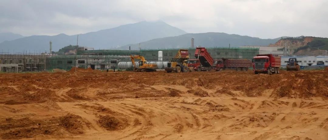 “金娃”落地，怎么培育？看福鼎如何厚植沃土