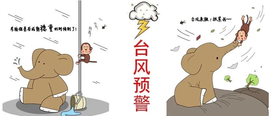 “利奇馬”加強(qiáng)為超強(qiáng)臺(tái)風(fēng)，福鼎提升防臺(tái)風(fēng)應(yīng)急響應(yīng)為Ⅲ級(jí)！