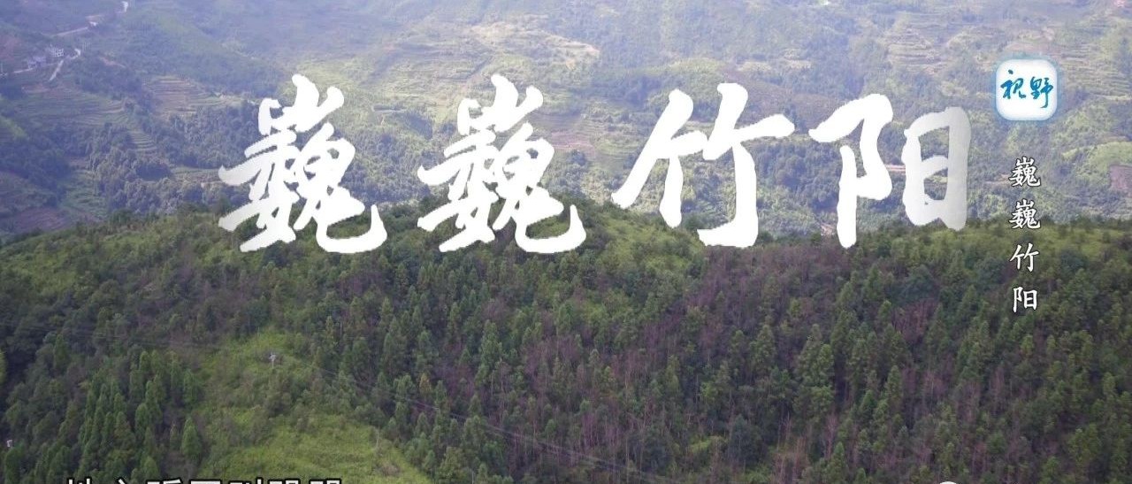 【視野】這段曾經發生在疊石鄉竹陽村的紅色革命故事，你應該知道！