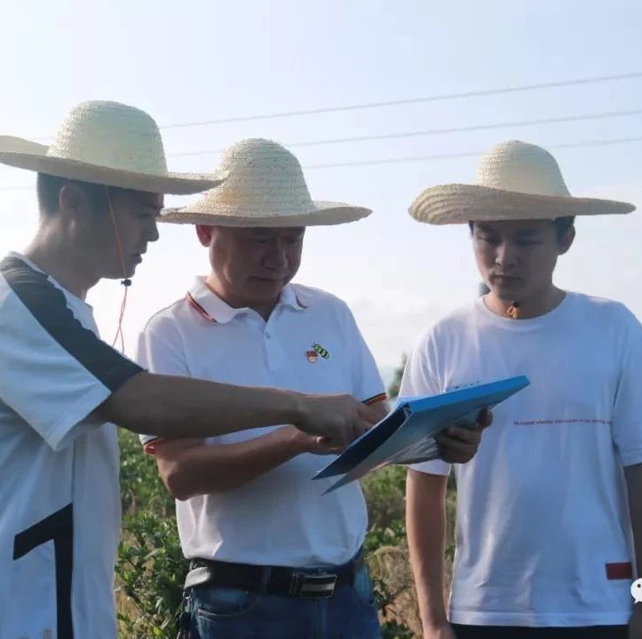 硤門：保持高壓態勢，建立長效機制，保護青山綠水