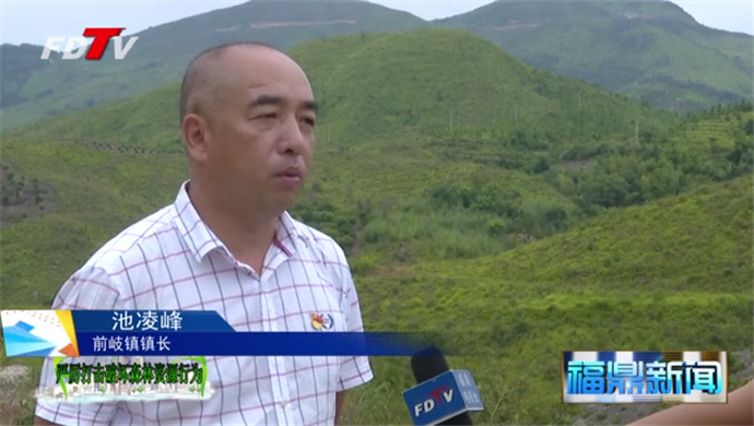 前岐：持續精準發力 嚴守森林紅線 建設生態鄉鎮