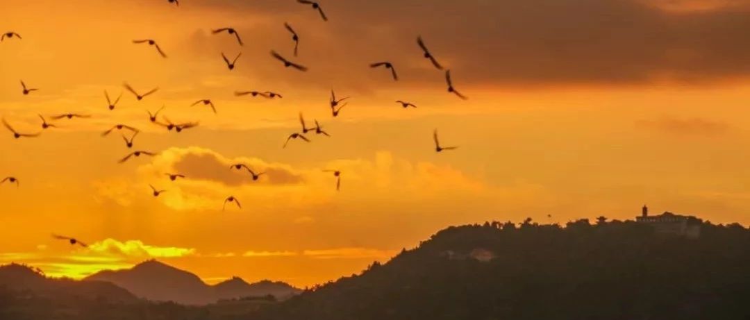 都知道桐城八景中的昭明夕照，那你知道昭明寺最初興建的原因嗎？