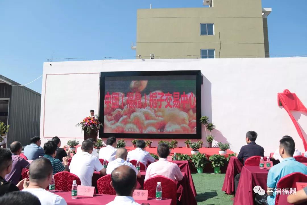 高大上，中國（福鼎）梔子交易中心開業啦