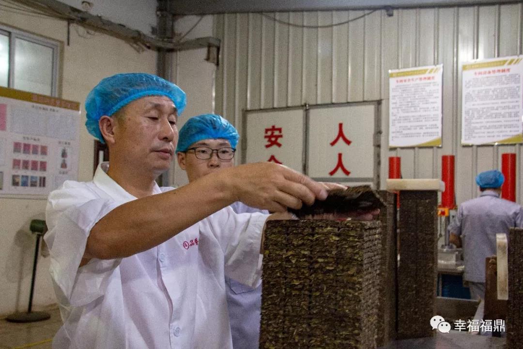 好人好自己，好茶和天下，這位茶人的初心始終如一……