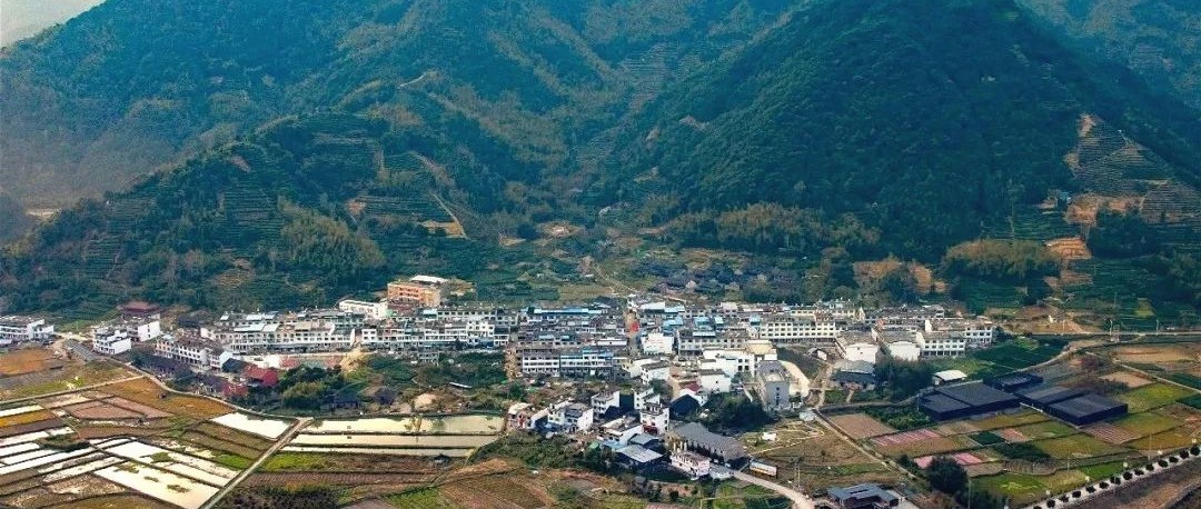 赤溪雙創動力更強勁，山水之間逐夢“綠富美”