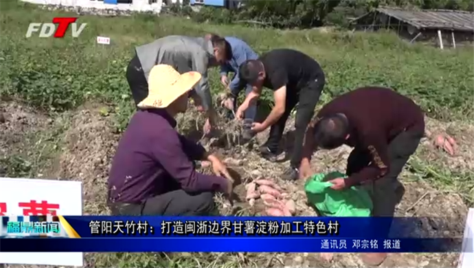 管陽天竹村：打造閩浙邊界甘薯淀粉加工特色村