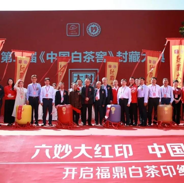 大咖云集真熱鬧！點頭今天發(fā)生了啥事？