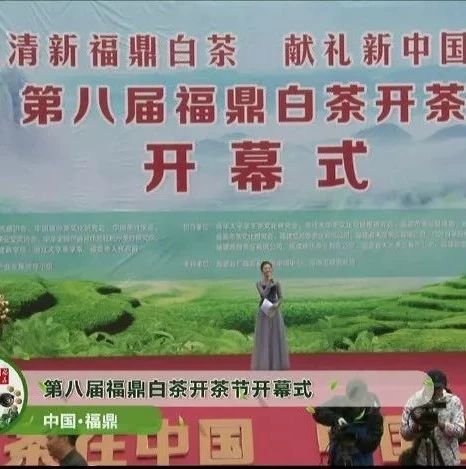 點贊臺丨創新傳播方式，叫響白茶品牌